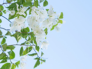 双色球第2026021期开奖 头奖成色不减，普惠底色更浓